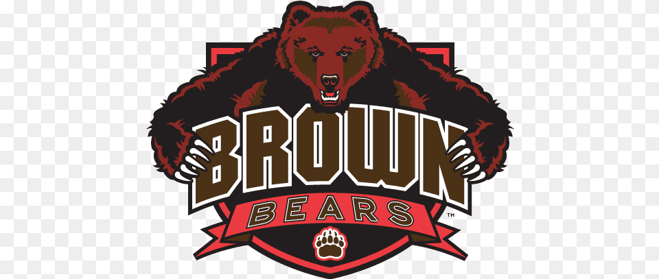 Brown Bears Primary Logo Brown Bears, Baby, Person, Animal, Wildlife Free Png