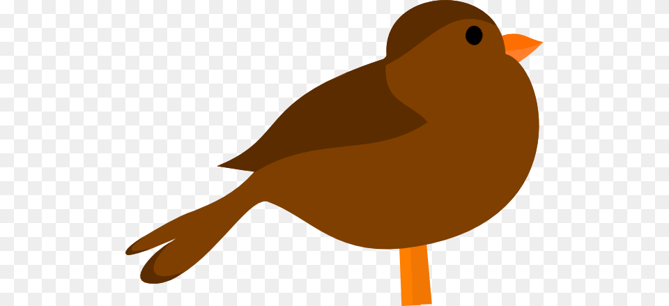 Brown Bird Clip Art, Animal, Finch, Canary Png Image