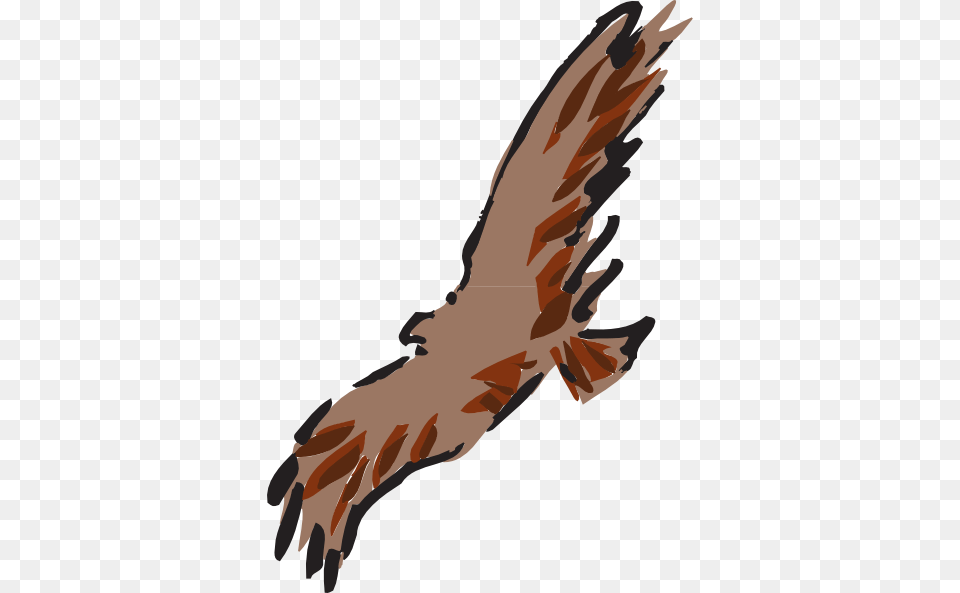 Brown Bird Flying Art Clip Art For Web, Animal, Vulture, Kite Bird, Buzzard Png Image