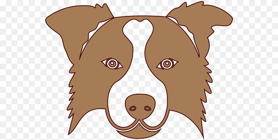 Brown Border Collie Icon Transparent, Snout Png Image