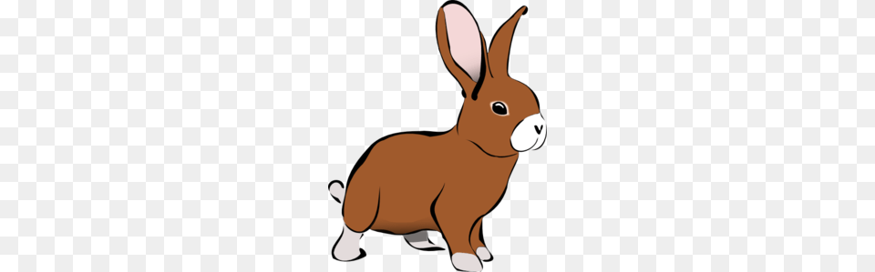 Brown Bunny Rabbit Clip Art, Baby, Person, Animal, Mammal Png Image