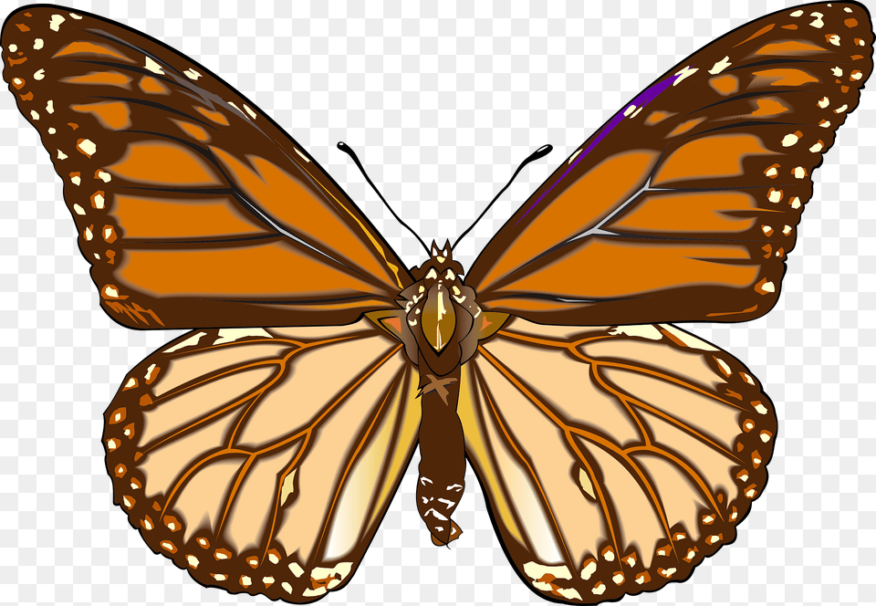 Brown Butterfly Clipart, Animal, Chandelier, Insect, Invertebrate Free Transparent Png