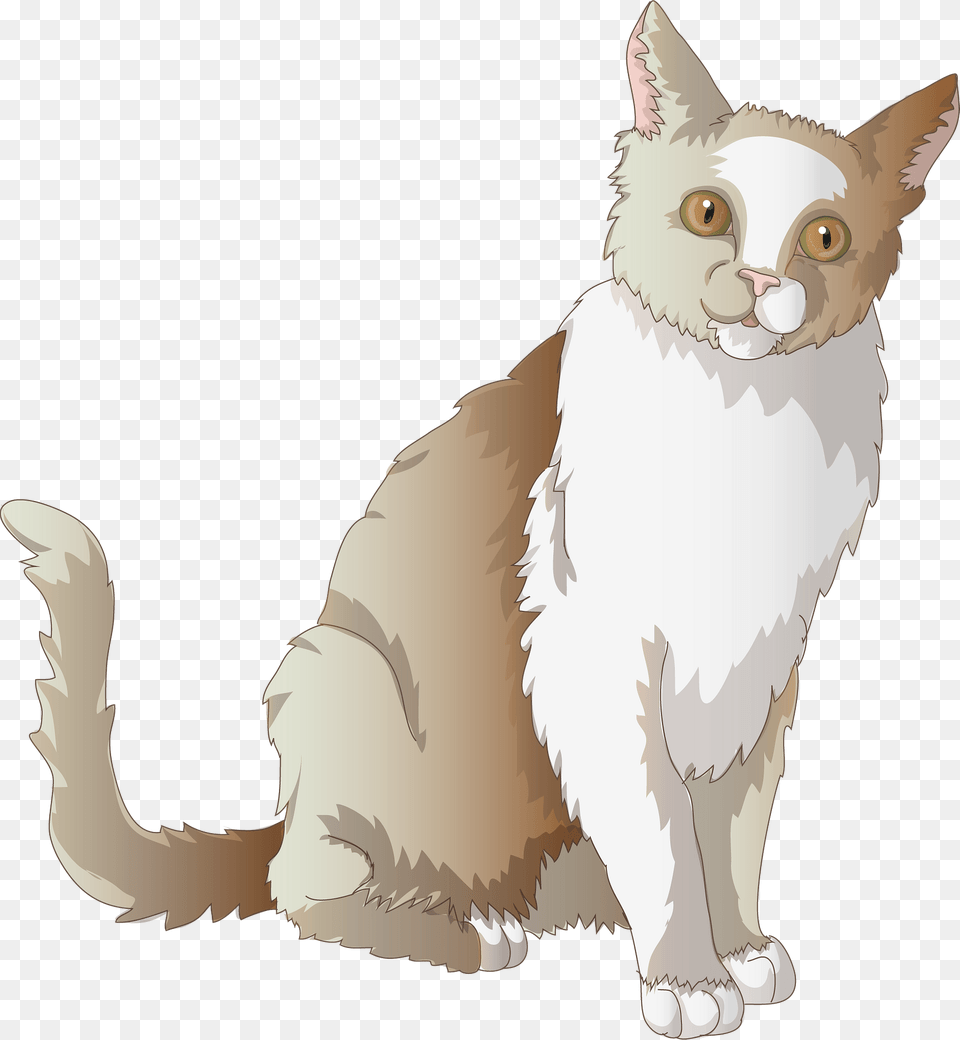 Brown Cat Clipart, Angora, Animal, Mammal, Pet Png Image