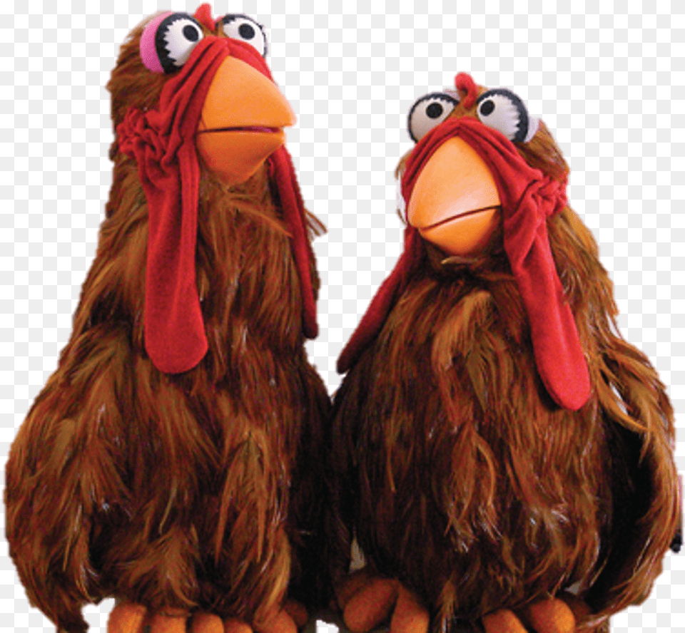 Brown Chicken Sesame Street, Animal, Beak, Bird, Toy Free Transparent Png