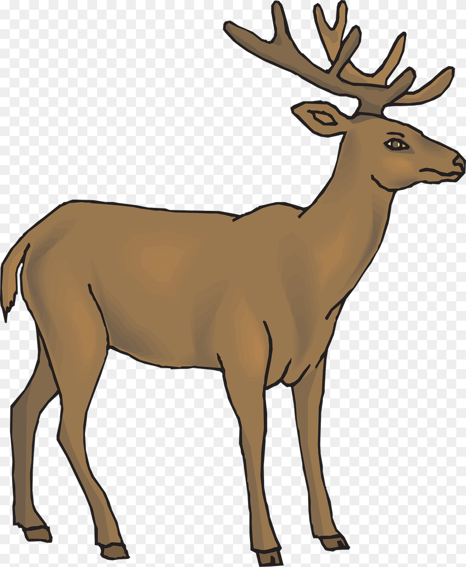 Brown Clipart, Animal, Deer, Elk, Mammal Png