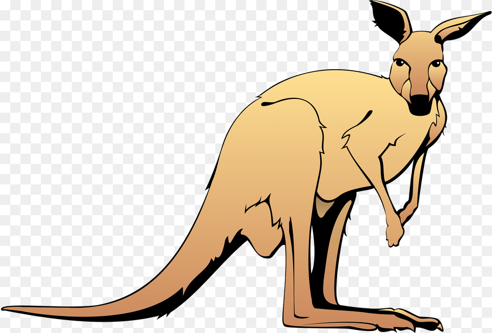 Brown Clipart, Animal, Mammal, Kangaroo Free Transparent Png
