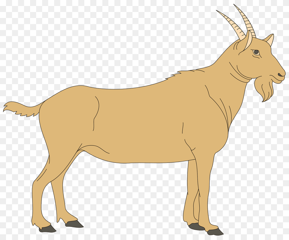 Brown Clipart, Animal, Mammal, Antelope, Livestock Free Png