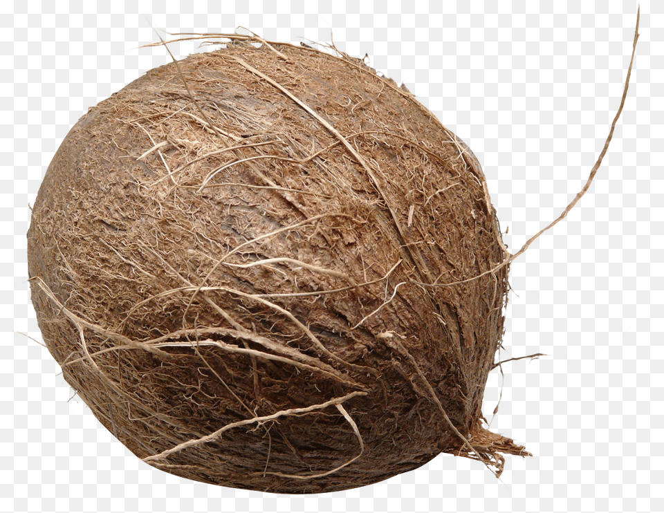 Brown Coconut, Food, Fruit, Plant, Produce Free Transparent Png