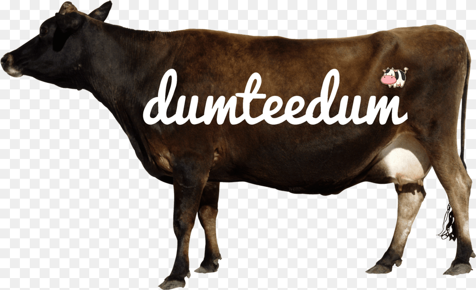 Brown Cow Logo Cow Side View Transparent, Animal, Cattle, Livestock, Mammal Png