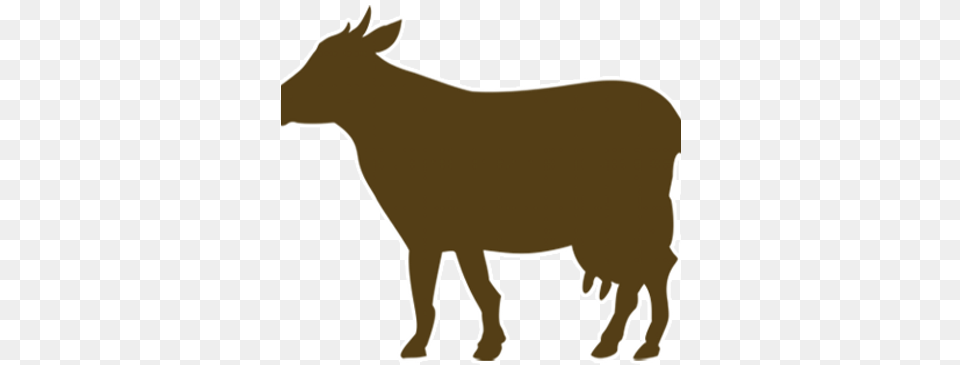 Brown Cow Marketing Bccmrktg Twitter Brown Cow Icon Transparent, Livestock, Animal, Mammal, Person Free Png