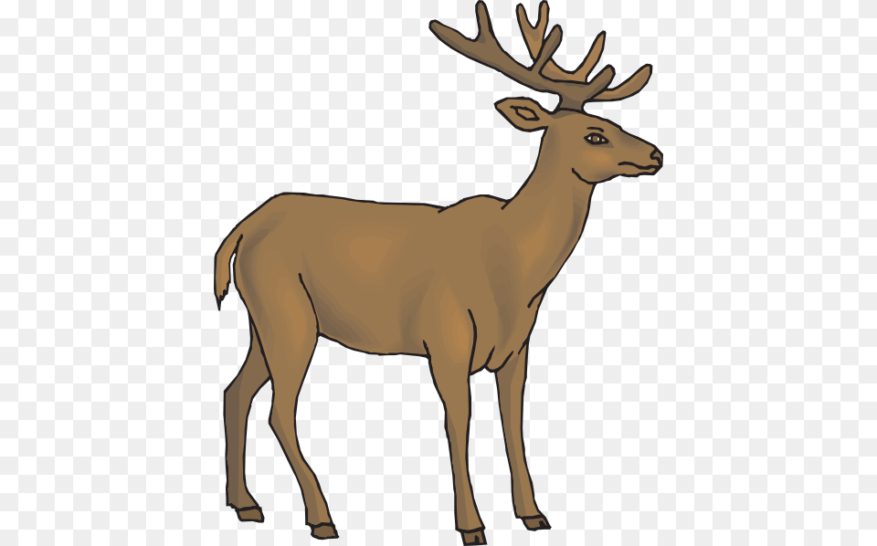 Brown Deer Clip Art For Web, Animal, Elk, Mammal, Wildlife Free Png