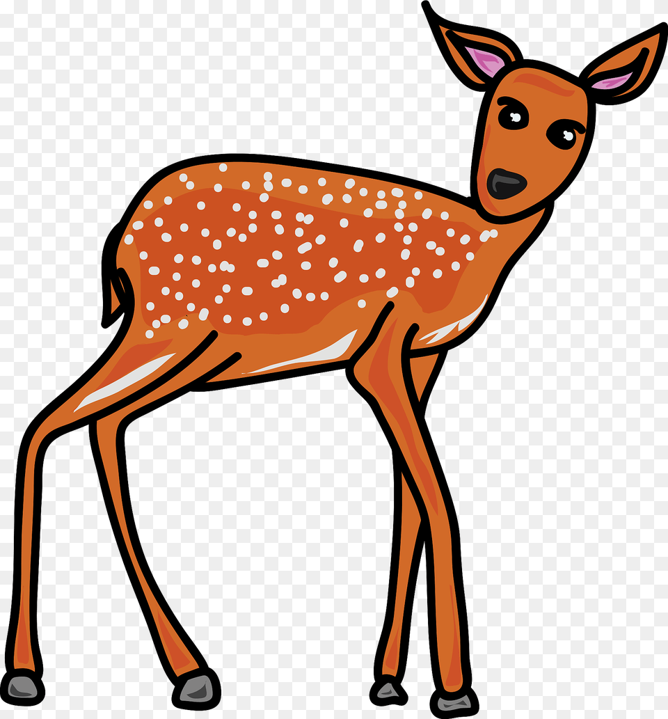 Brown Deer Clipart, Animal, Mammal, Wildlife, Kangaroo Png Image