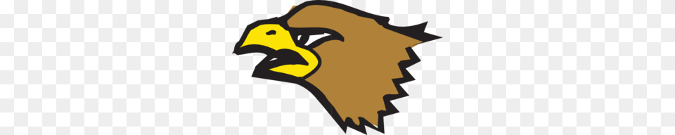 Brown Eagle Head Clip Art, Animal, Beak, Bird, Person Png