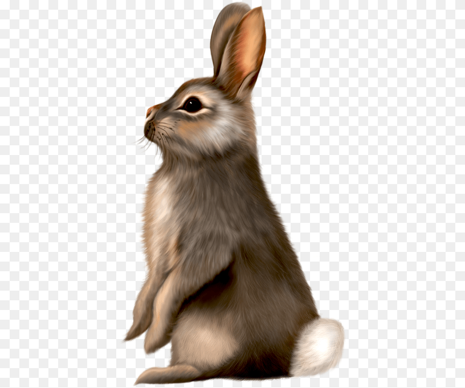 Brown Easter Bunny Clip Art, Animal, Mammal, Rabbit, Bird Free Transparent Png