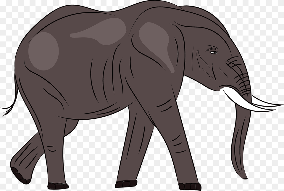 Brown Elephant Clipart, Animal, Mammal, Wildlife, Person Png