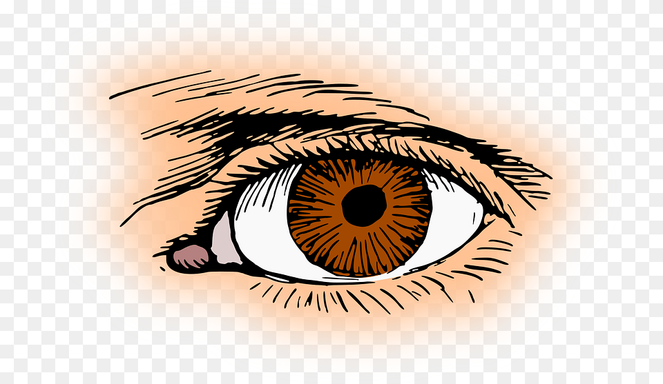 Brown Eye Eyelash Optic Optical Organ Vision, Contact Lens, Art, Drawing Png Image
