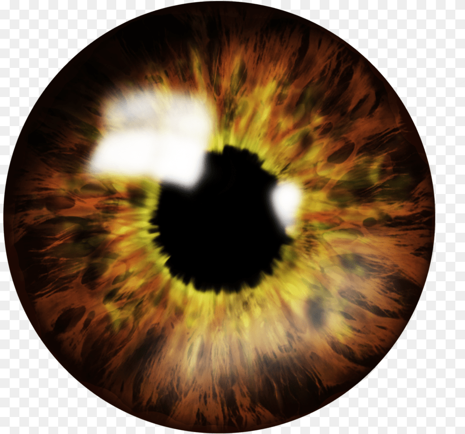 Brown Eye File Eye Lens, Accessories, Pattern, Fractal, Ornament Png