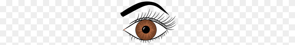 Brown Eyes, Contact Lens, Disk, Art Free Transparent Png