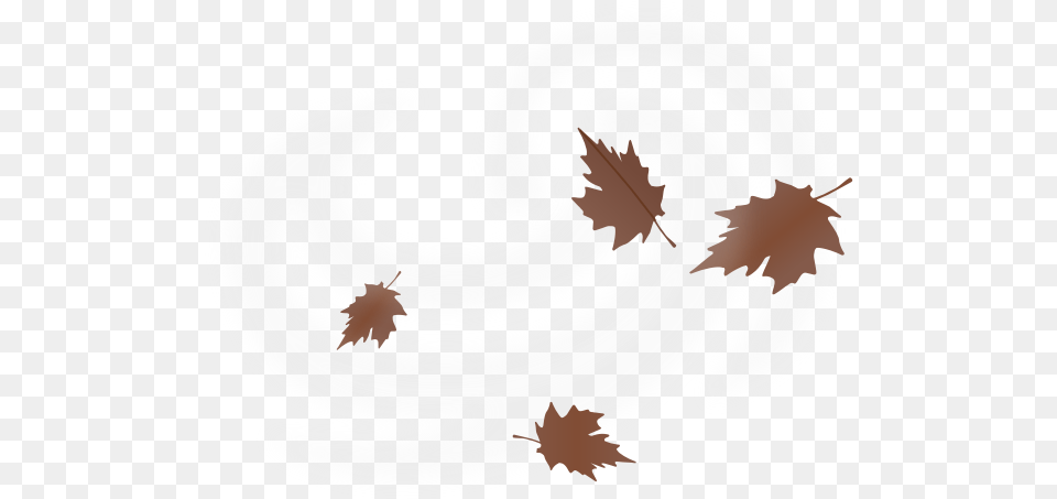 Brown Fall Leaves Vector Drawing On White Background Maple Leaf Blowing In Wind, Plant, Text, Plate Free Png