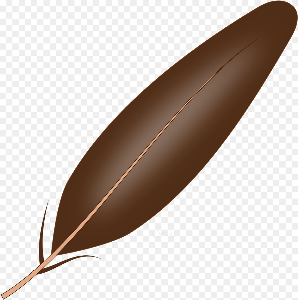 Brown Feathers Clipart, Leaf, Plant, Bottle, Nature Free Png