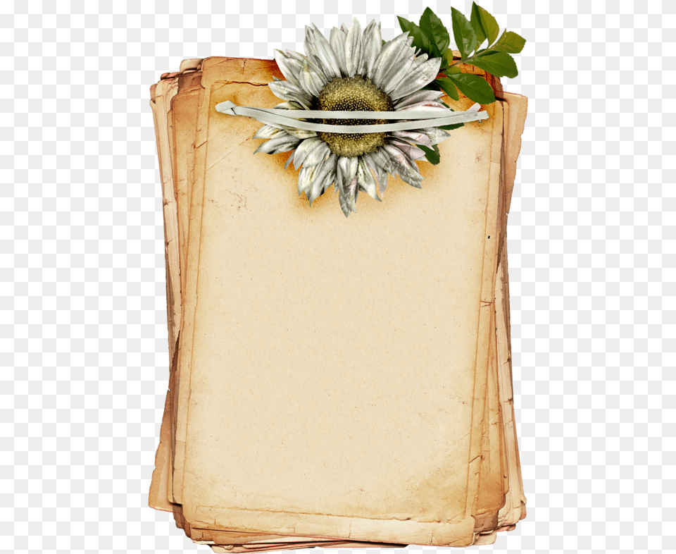 Brown Flower Background, Plant, Fruit, Food, Sunflower Png