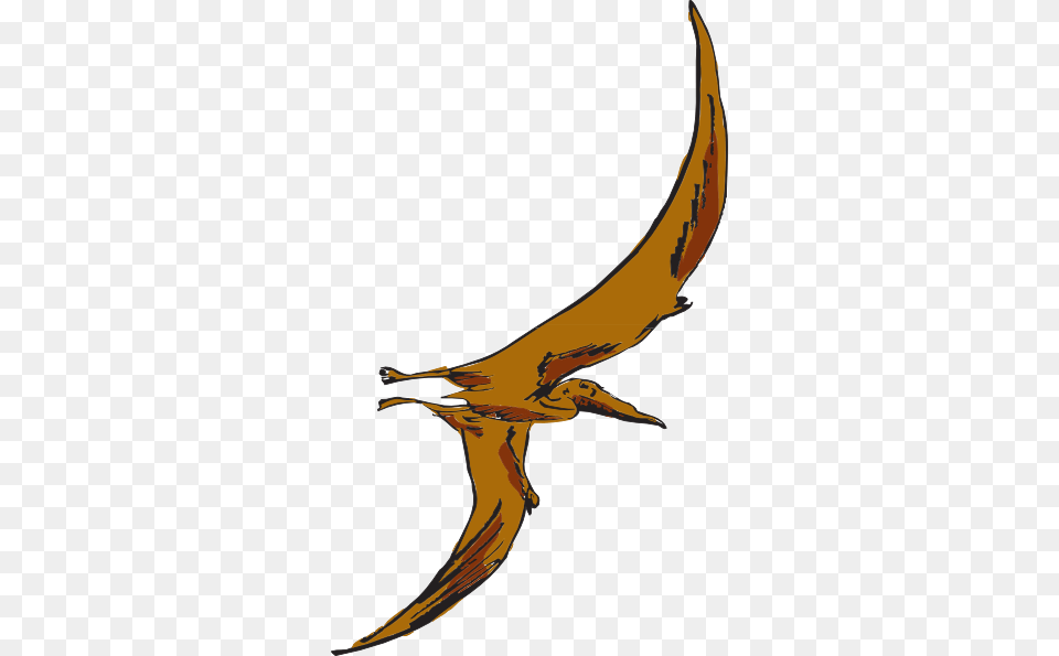 Brown Flying Pterodactyl Clip Art, Animal, Fish, Sea Life, Shark Free Transparent Png