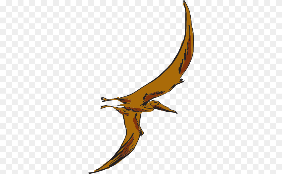 Brown Flying Pterodactyl Clip Art For Web, Animal, Fish, Sea Life, Shark Png Image
