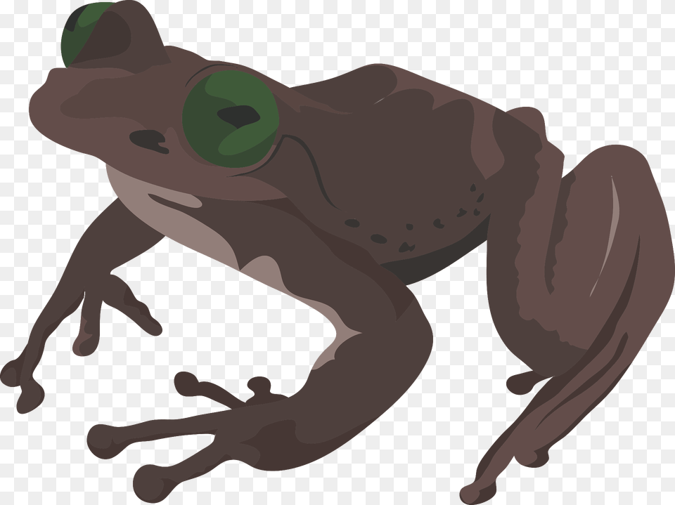 Brown Frog Clipart, Amphibian, Animal, Wildlife, Person Png