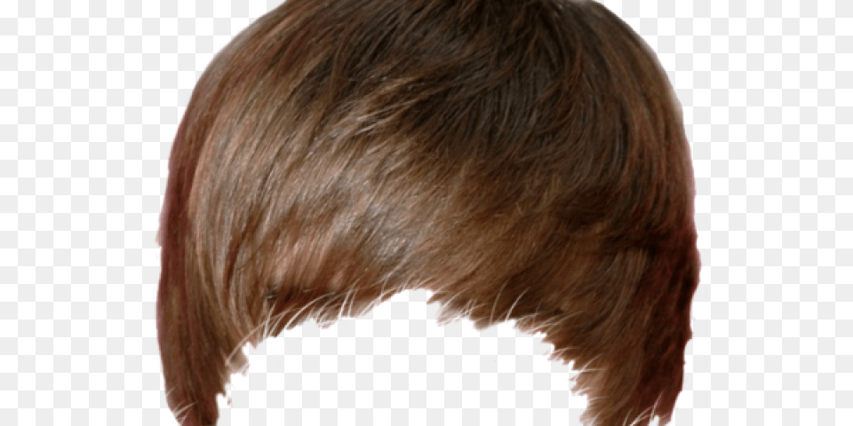 Brown Hair Clipart Ssumit49 Justin Bieber Hair, Adult, Female, Person, Woman Free Png