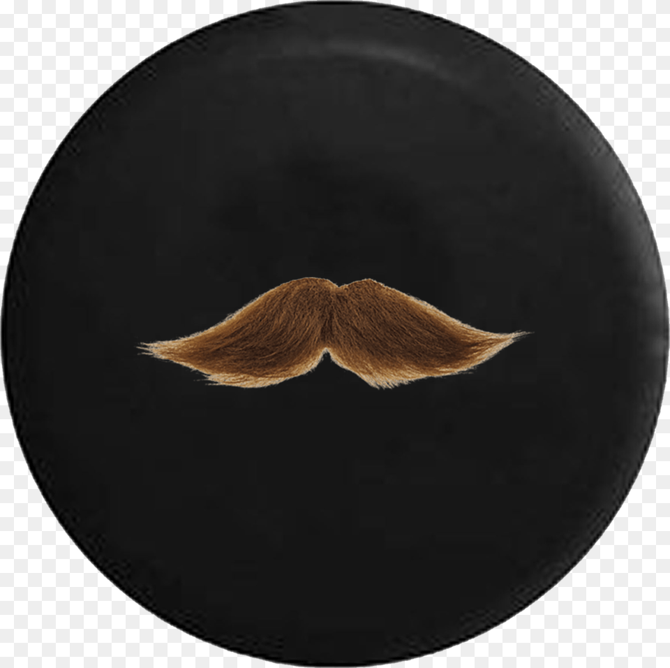 Brown Hairy Mustache Funny Circle, Face, Head, Person, Pottery Png