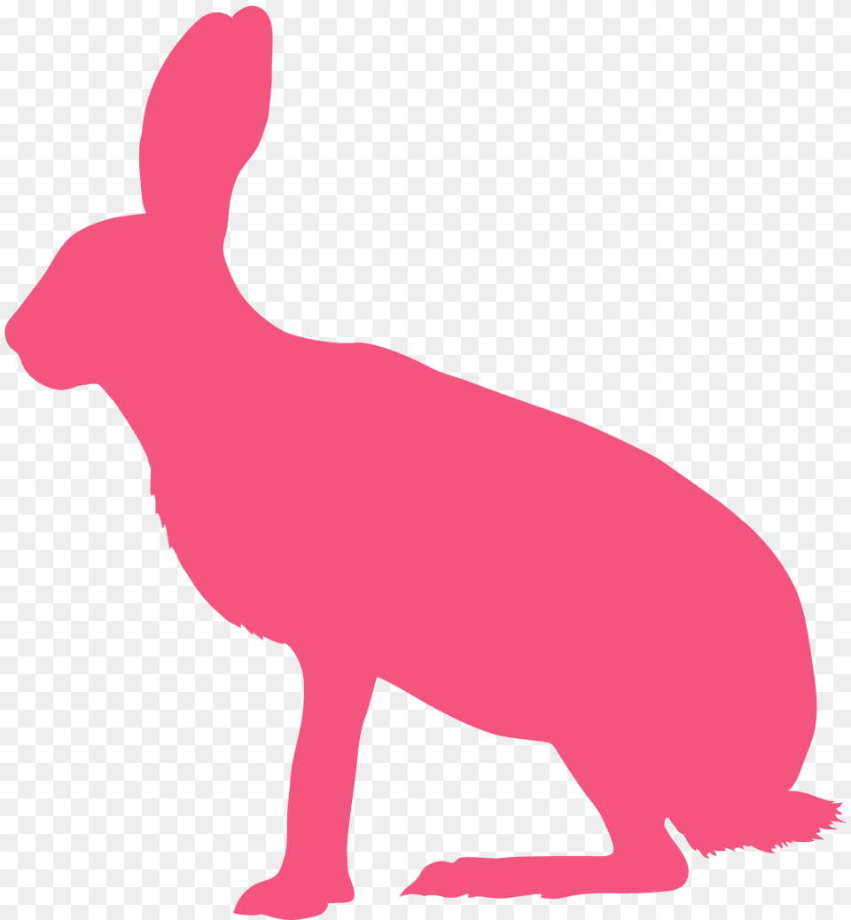 Brown Hare Silhouette, Animal, Mammal, Rodent, Bear Free Transparent Png