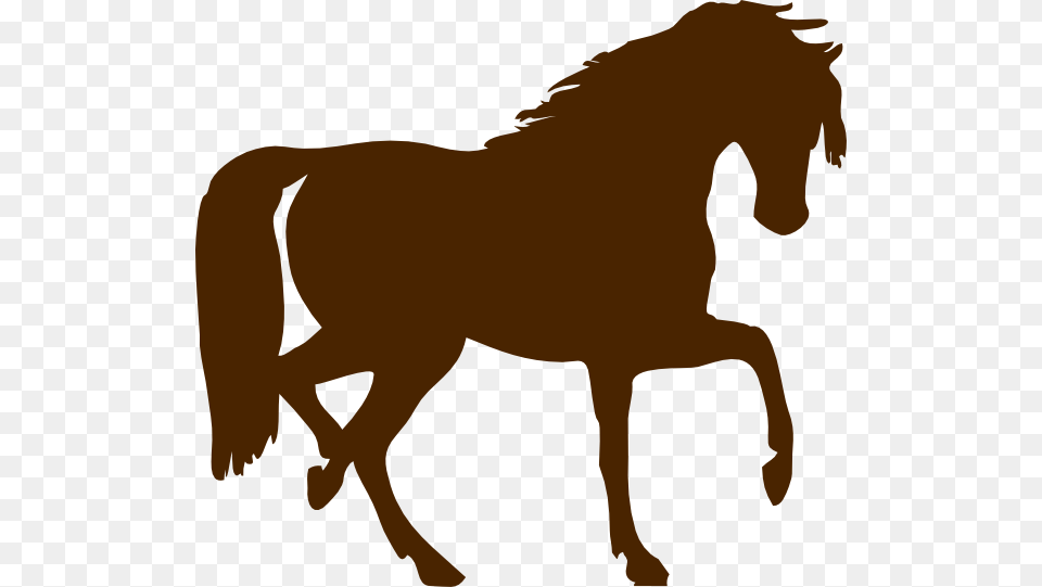 Brown Horse Clip Art, Silhouette, Animal, Mammal, Colt Horse Png