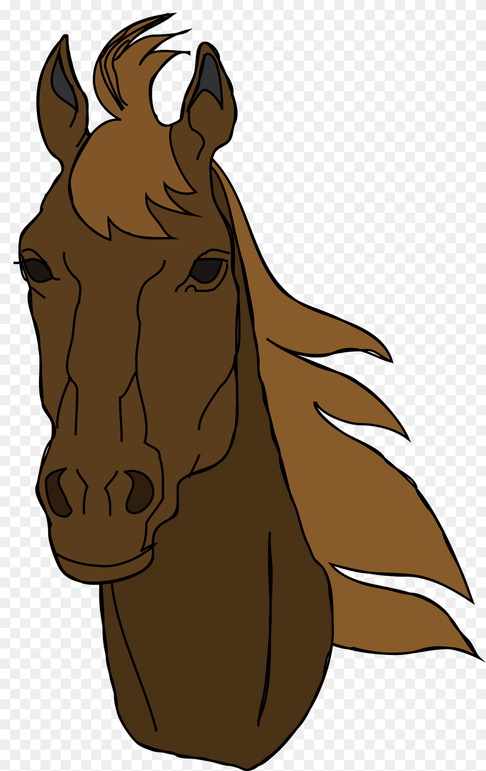 Brown Horse Head Clipart, Animal, Colt Horse, Mammal, Person Free Png Download