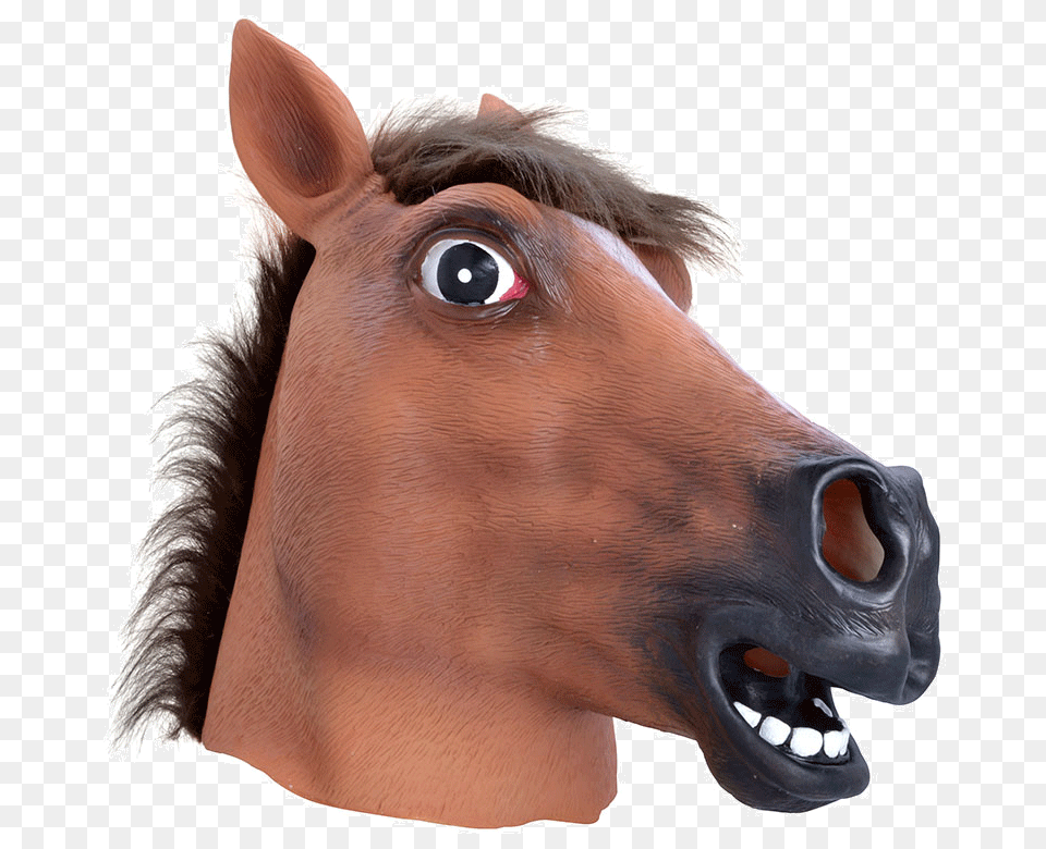 Brown Horse Mask, Animal, Colt Horse, Mammal, Cattle Free Png Download