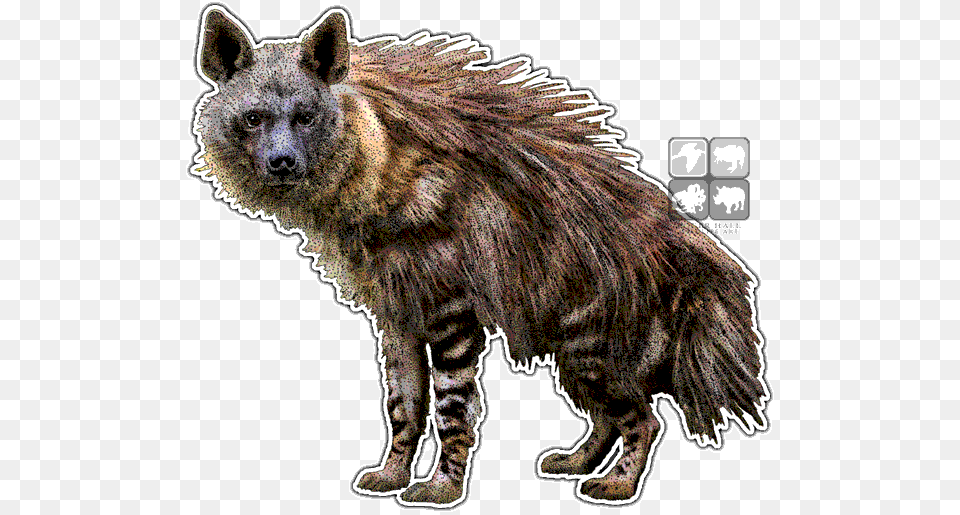 Brown Hyena Hyena Art, Animal, Canine, Dog, Mammal Png