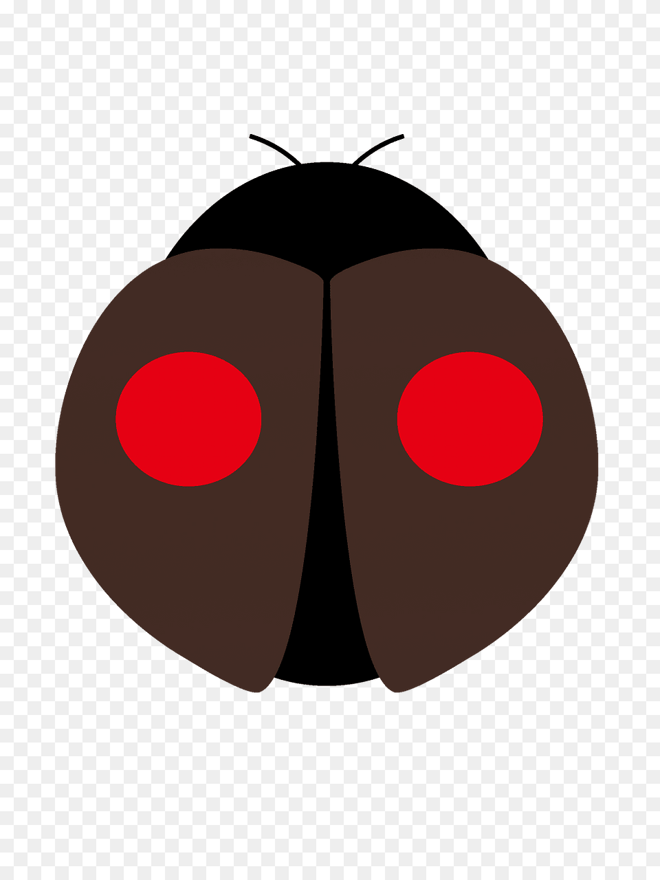 Brown Ladybug Clipart, Animal, Astronomy, Moon, Nature Png Image