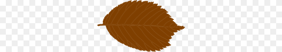 Brown Leaf Clip Art, Plant, Person, Food, Fruit Free Png