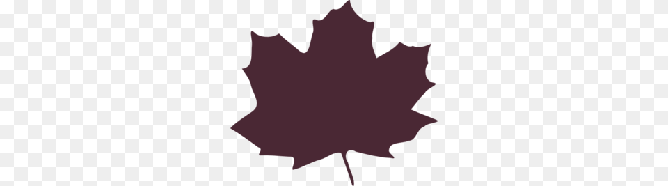 Brown Leaf Clip Art For Web, Maple Leaf, Plant, Person Png Image