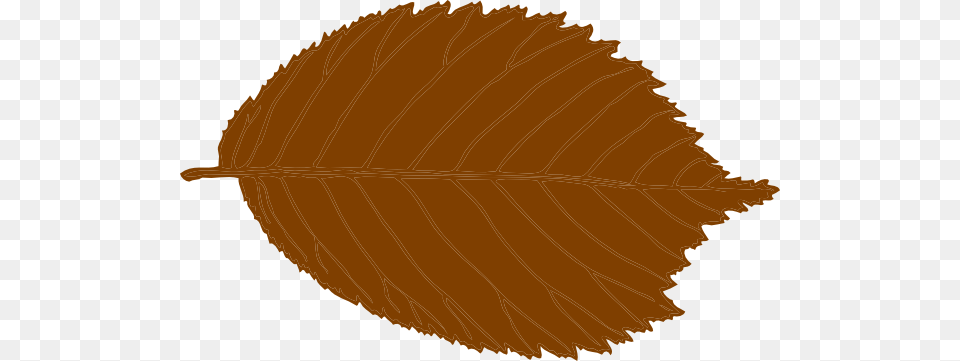 Brown Leaf Svg Clip Arts 600 X 361 Px, Plant, Food, Fruit, Produce Free Transparent Png