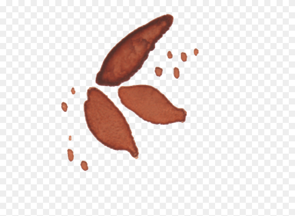 Brown Leaf Watercolor Hand Drawn Transparent Watercolor Painting, Food Png Image