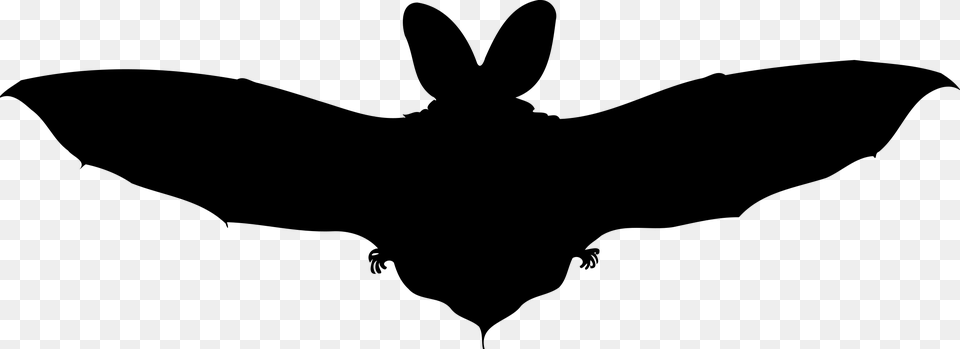 Brown Long Eared Bat Big Image Clip Art, Gray Free Transparent Png