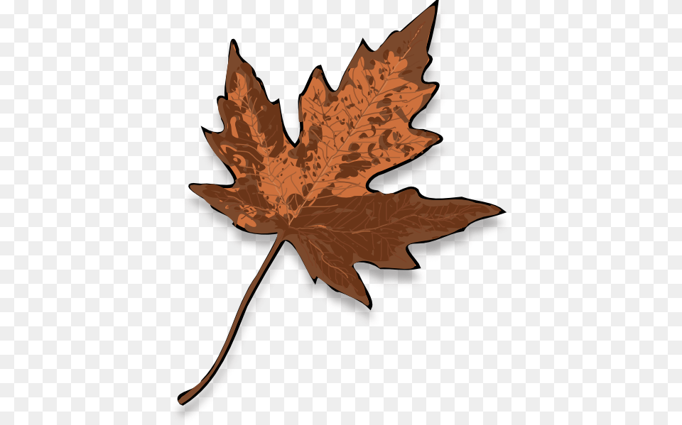 Brown Maple Leaf Svg Clip Arts 486 X 599 Px, Plant, Tree, Maple Leaf, Animal Free Png Download