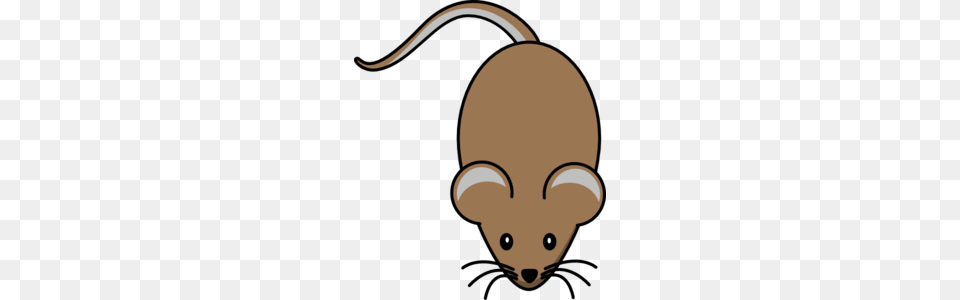 Brown Mouse Clip Art, Animal, Mammal, Computer Hardware, Electronics Free Png