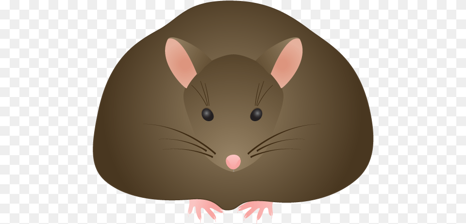 Brown Mouse Clip Art Fat Rat Clipart, Animal, Mammal, Rodent Free Transparent Png