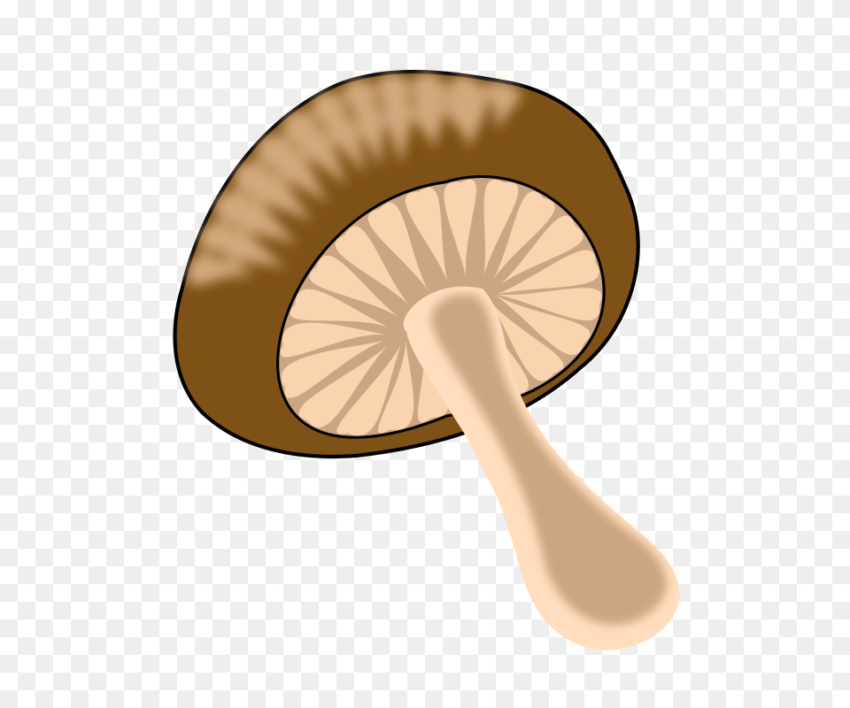 Brown Mushroom Clip Art On Clipart Cliparts For You Image, Fungus, Plant, Agaric, Amanita Free Png Download