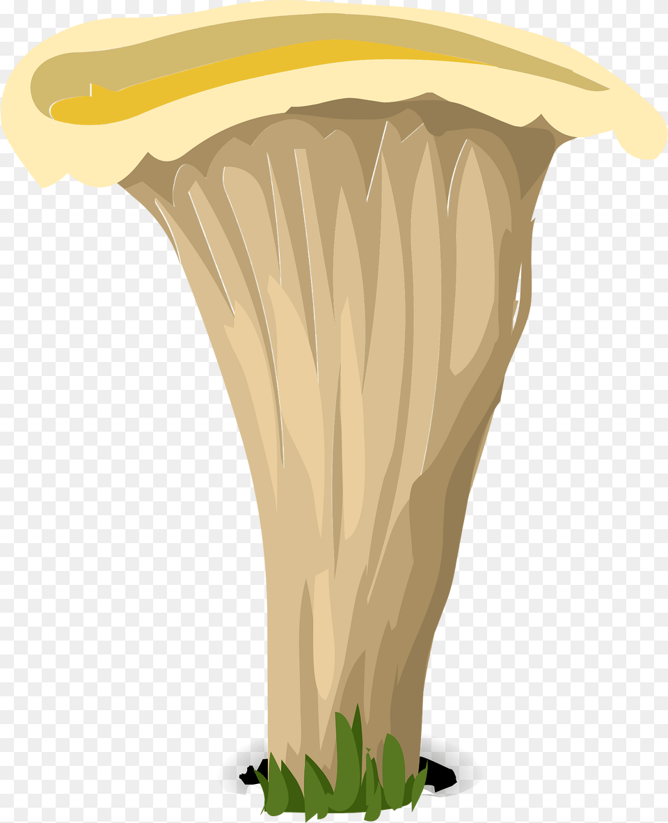 Brown Mushroom Clipart, Fungus, Plant, Agaric, Person Free Png