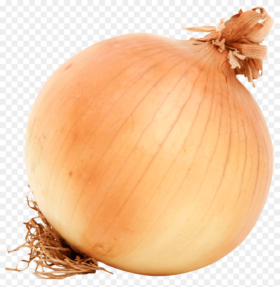Brown Onion Image, Food, Produce, Plant, Vegetable Free Png