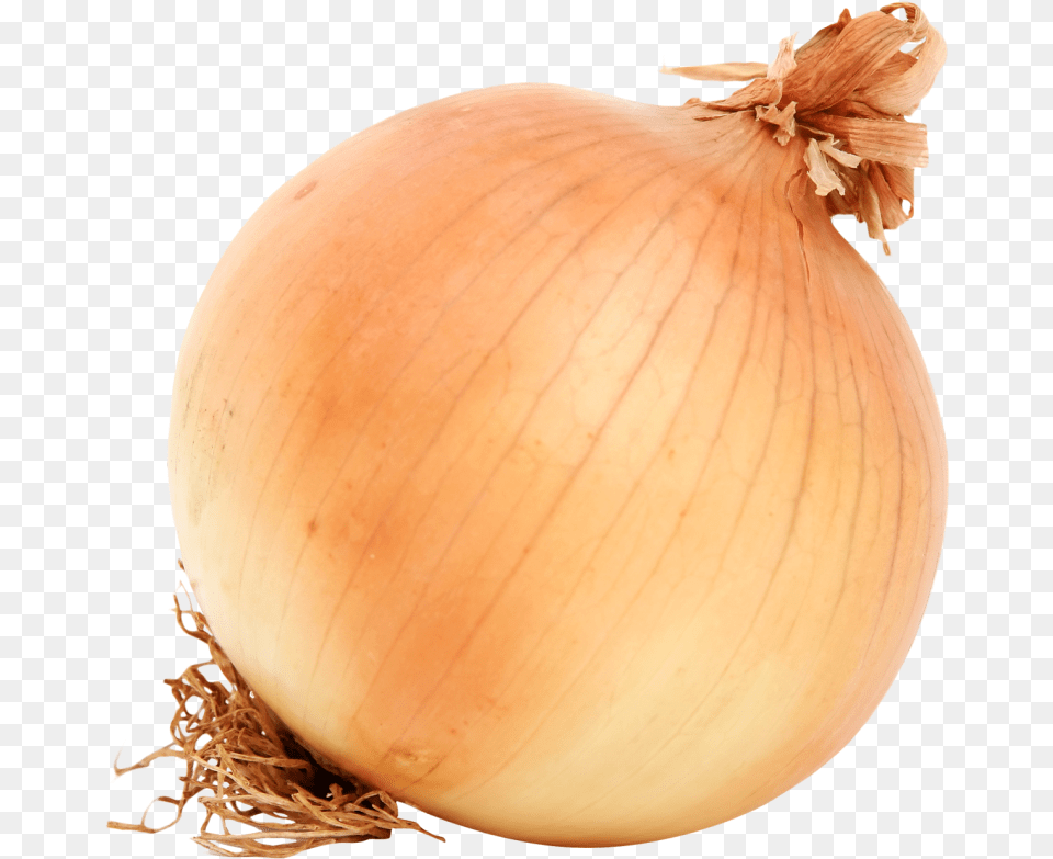 Brown Onion Onion, Food, Produce, Vegetable, Plant Png Image