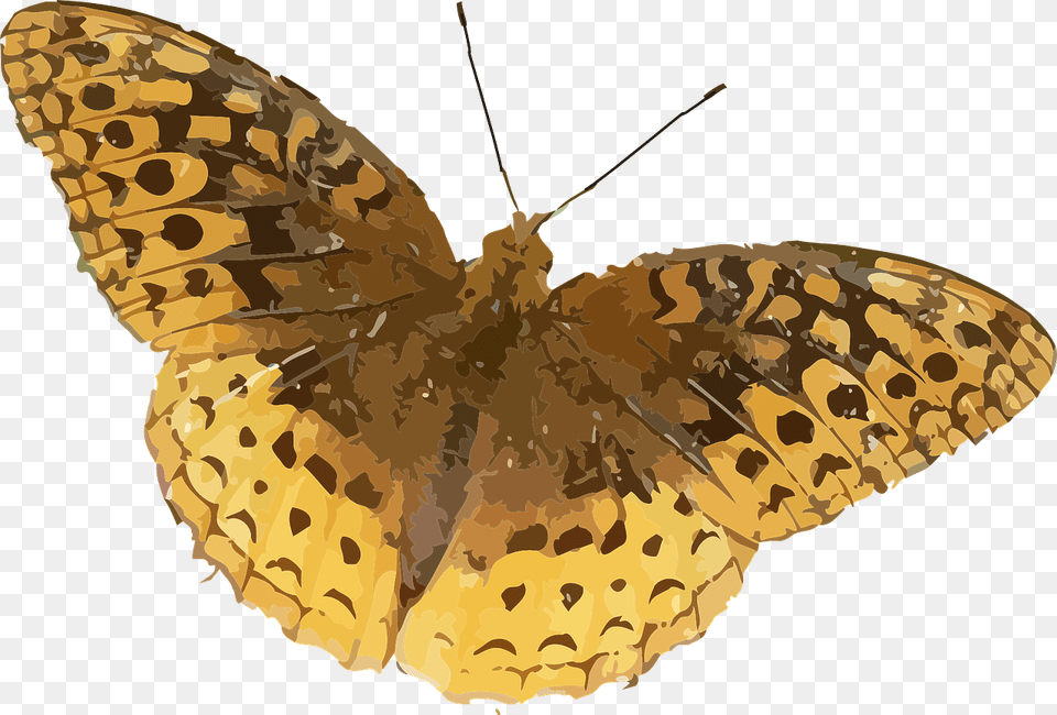 Brown Orange Butterfly, Animal, Insect, Invertebrate, Spider Free Png Download