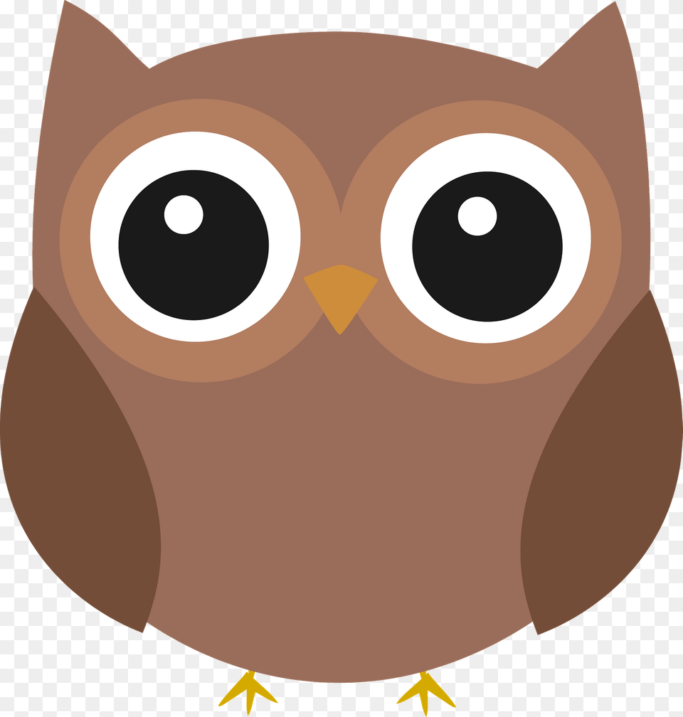 Brown Owl With Brown Eye Rings Clipart, Snout, Animal, Fish, Sea Life Png